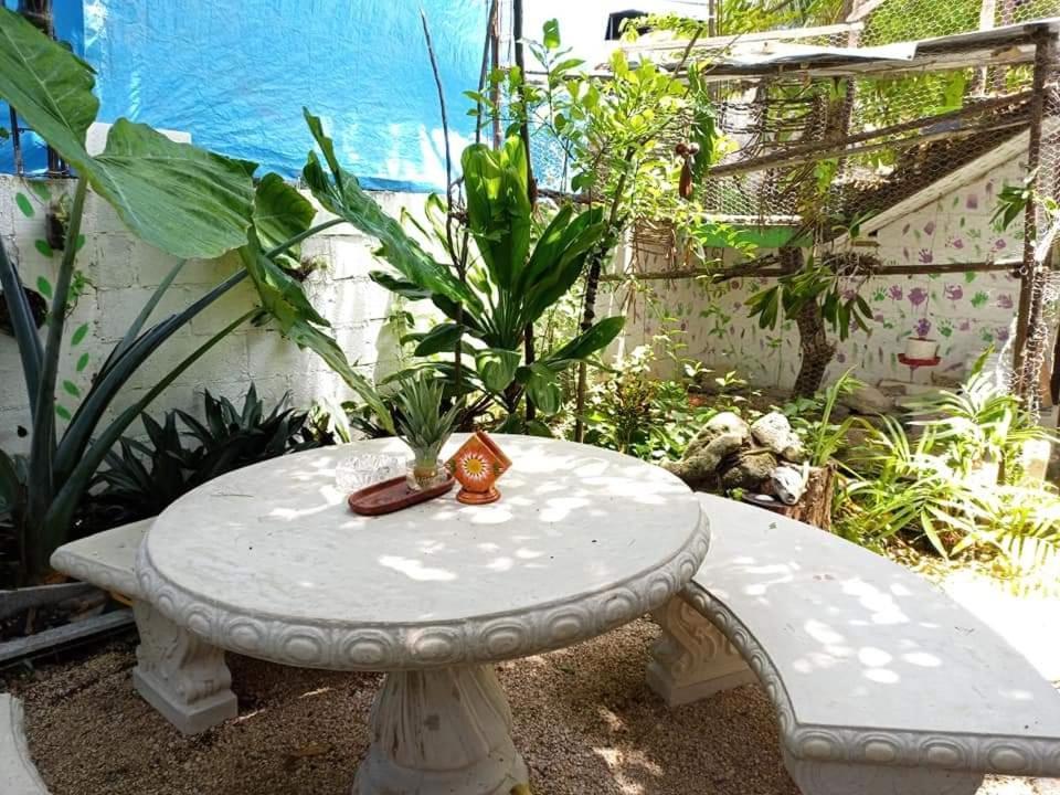 Mi Cuartito En Bacalar Apartamento Exterior foto